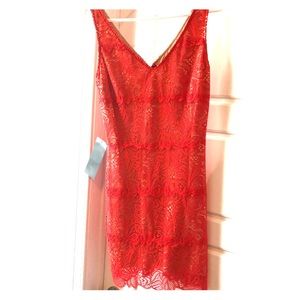 Bebe v neck lace dress